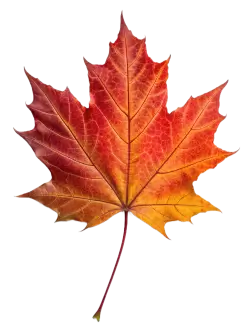 Imagen PNG para descargar